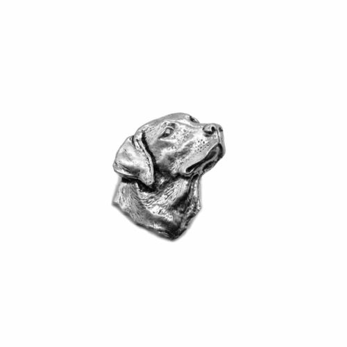 Pinssi - Labradorinnoutaja